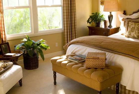 Best Queen Headboards