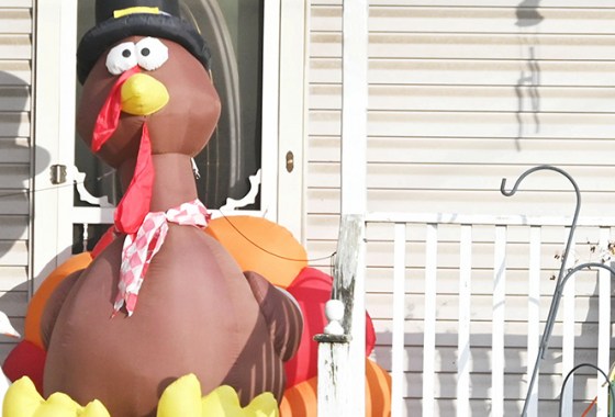 Best Turkey/Thanksgiving Decorations