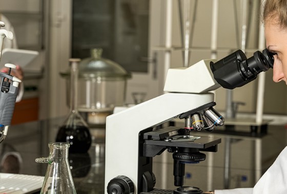 Best Compound Microscopes