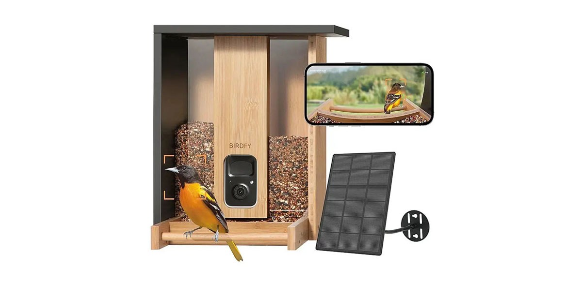 BIRDFY - Smart Wild Bird Feeder with Camera for Outdoor