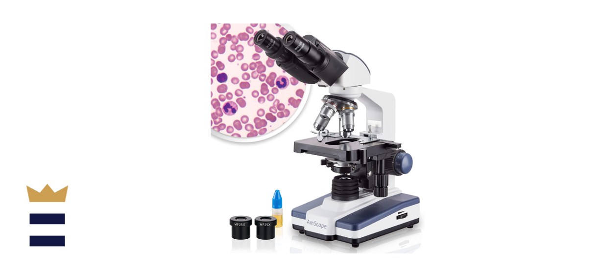 AmScope Siedentopf Binocular Compound Microscope