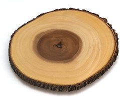 Lipper International Acacia Tree Bark Footed Server