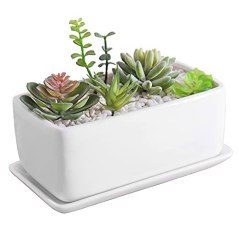 MyGift Rectangular Modern Minimalist White Ceramic Window Box with Saucer