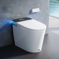 HOROW Artistic Bidet Toilet
