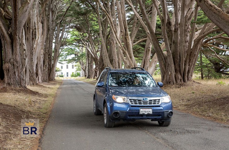 Latest Block Post Article Image