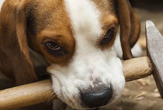 Best Chipping Hammers