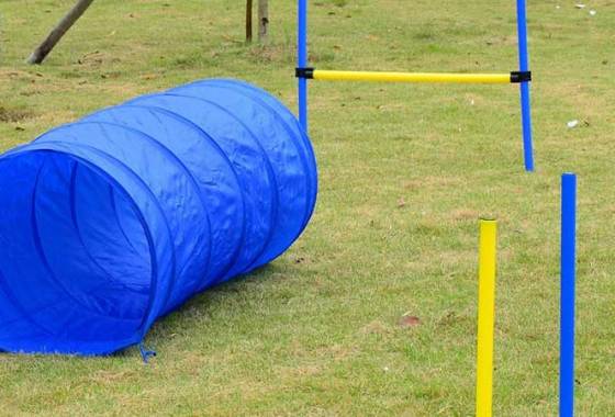 Best Dog Agility Tunnels