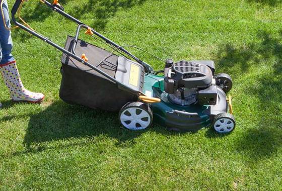 Best Troy-Bilt Lawn Mowers