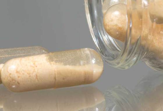 Best Garden of Life Probiotics