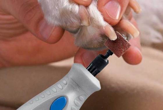 Best Dog Nail Grinders