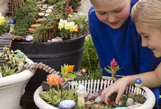 Best Fairy Garden Accessories