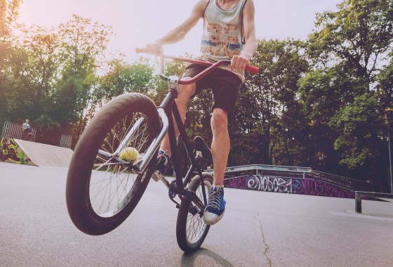 Best Adult BMX Bikes