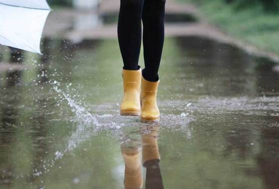 Best Women's Sperry Boots