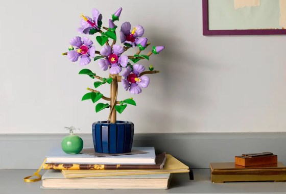 LEGO adds another flower to its coveted ‘Botanicals’ collection
