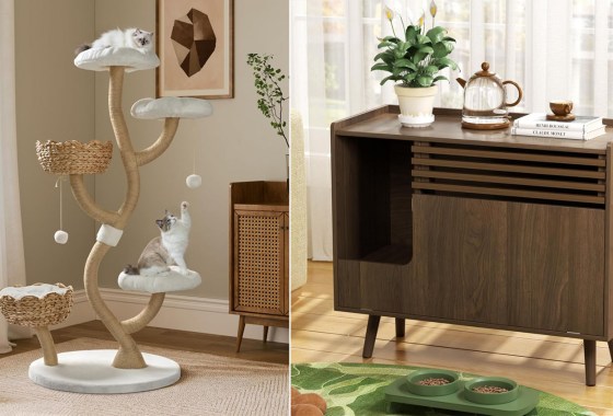 Stylish cat furniture you’ll actually want in your home