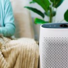 How to improve the air quality in your home