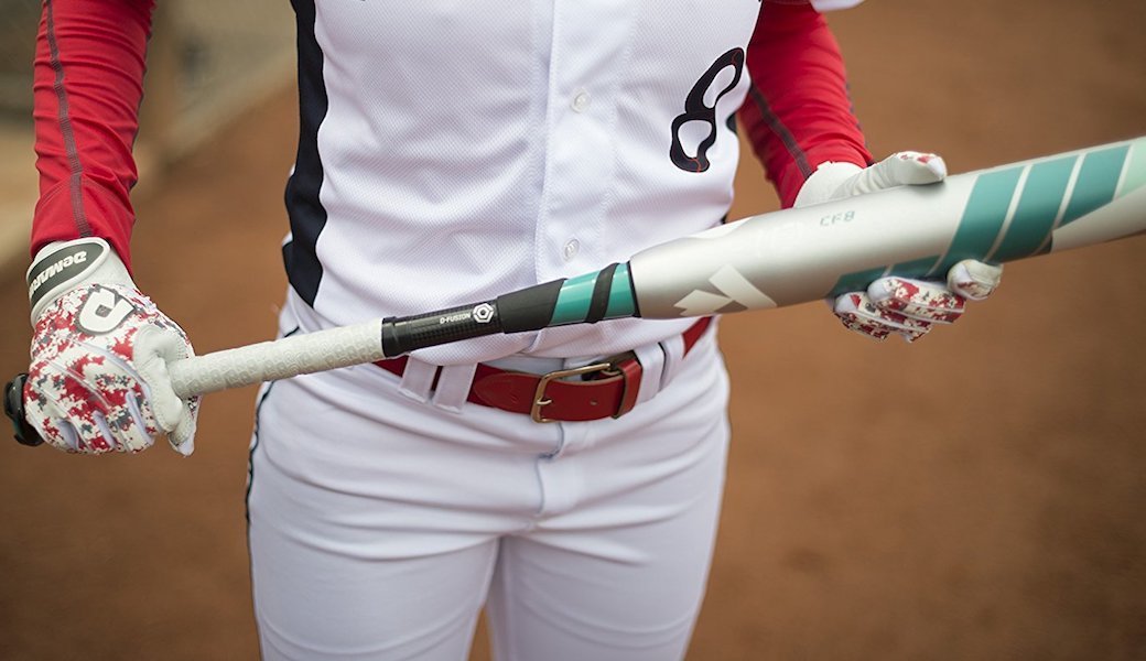 5 Best Softball Bats Feb. 2021 BestReviews