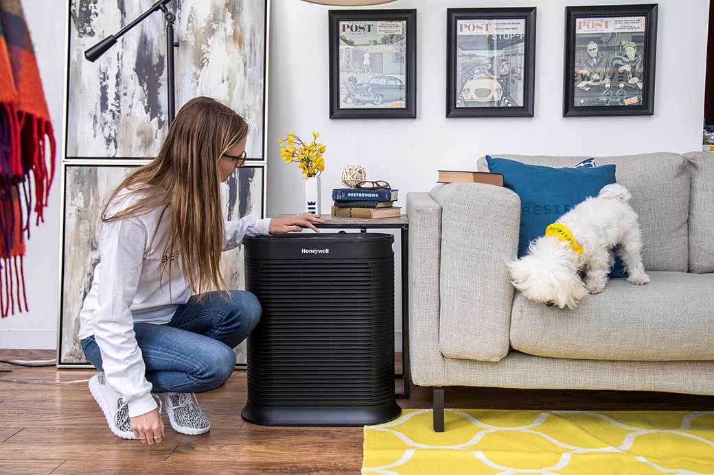 5 Best Air Ionizers July 2020 BestReviews