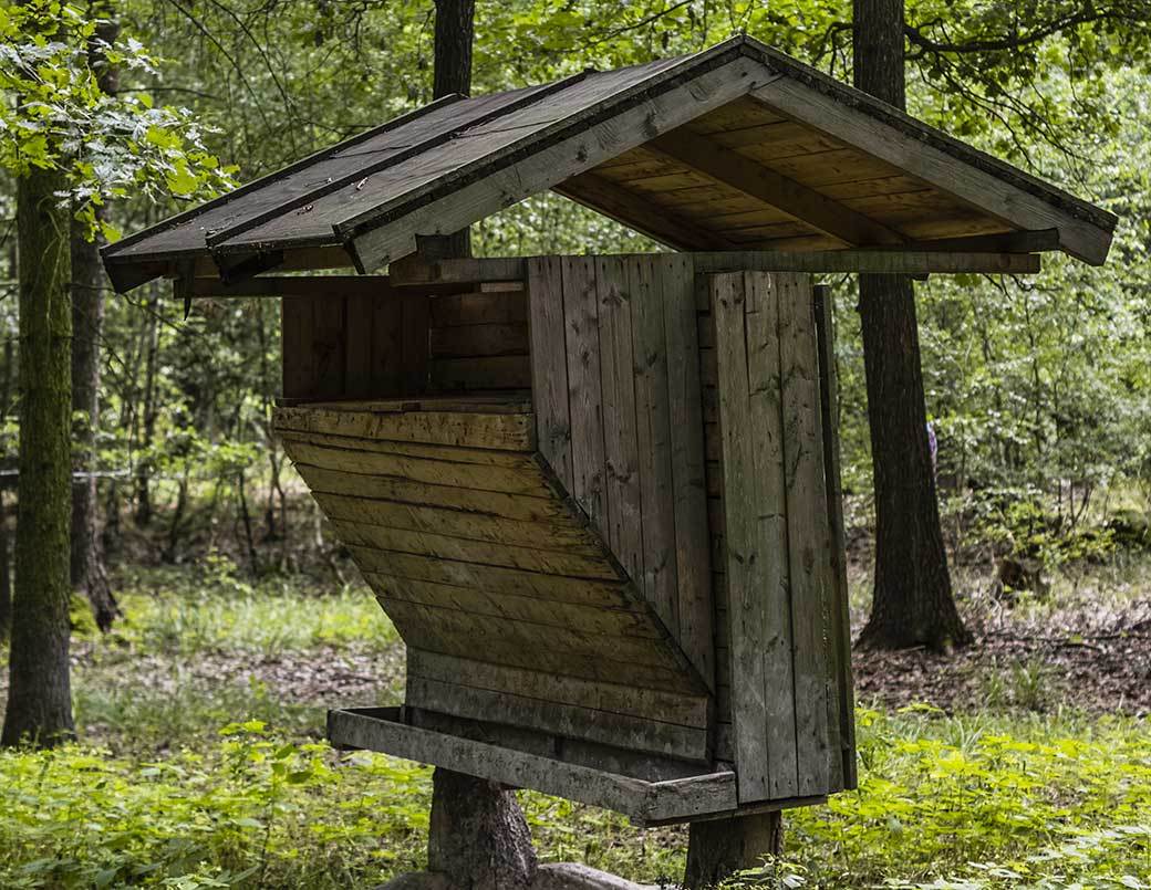 5 Best Game Feeders Dec. 2020 BestReviews