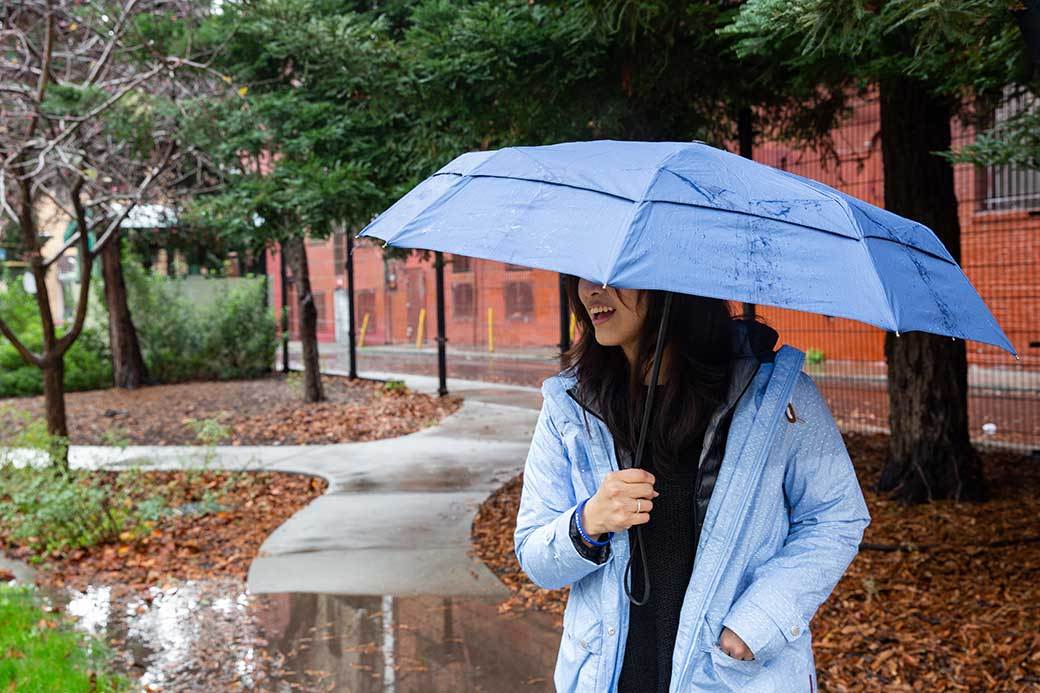 5 Best Windproof Umbrellas Feb. 2021 BestReviews