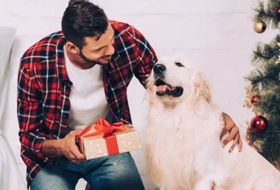 Best personalized dog gifts