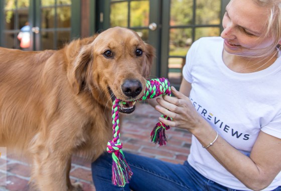 Best Chuckit! dog toy