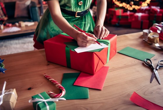Best Elf on the Shelf letter