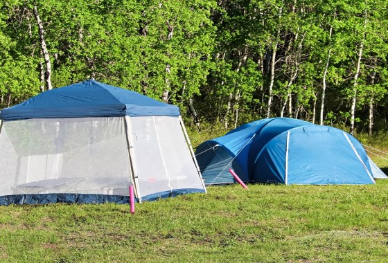 Best screen tent