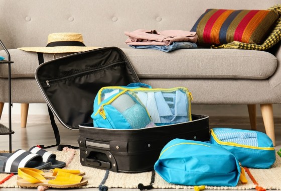 Best travel shoe bag