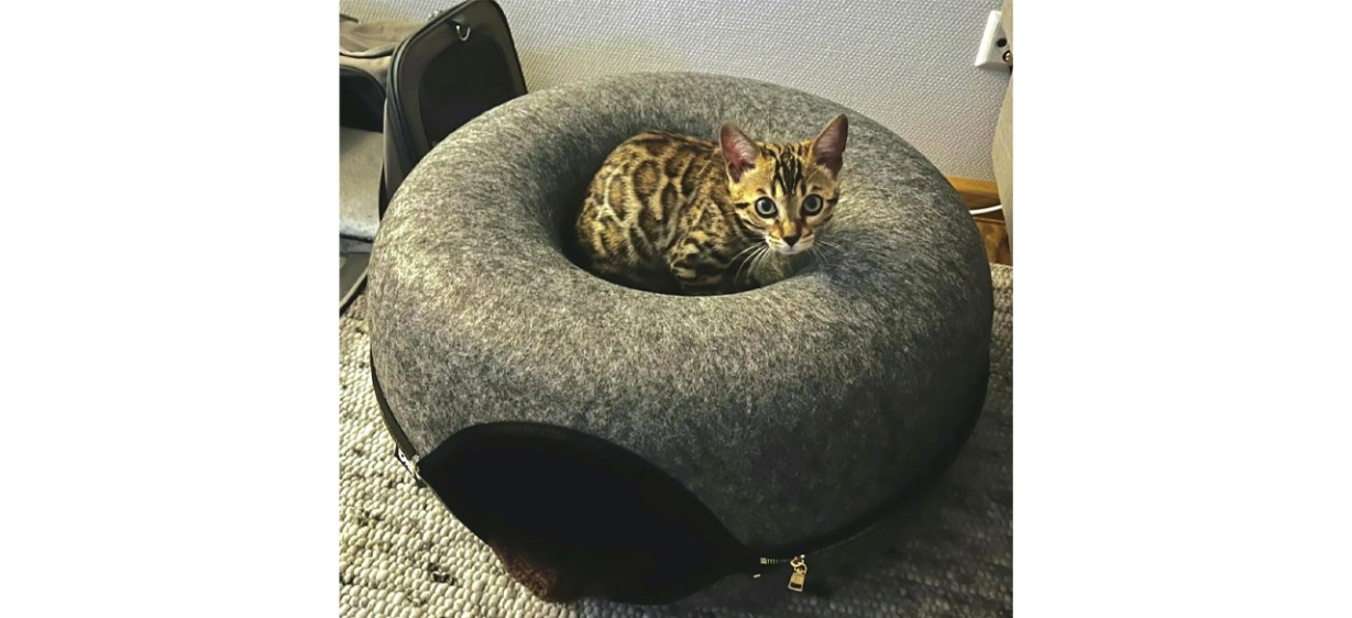 Travel Cat Tunnel Bed Cave