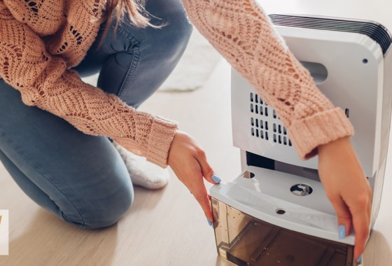 Which dehumidifier should I get?