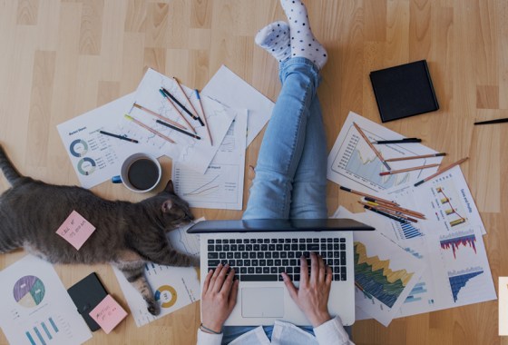 6 office supplies you need for your small business