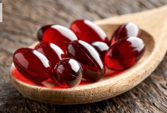 Health benefits of krill oil