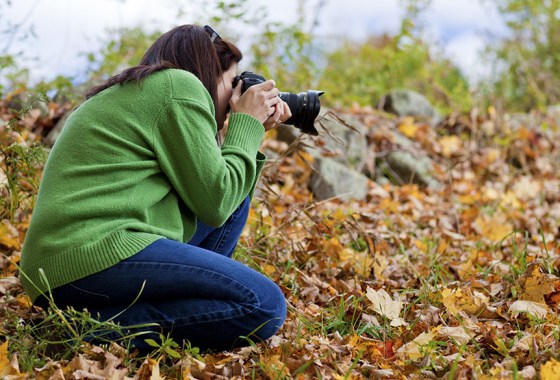Best camera to bring when leaf peeping