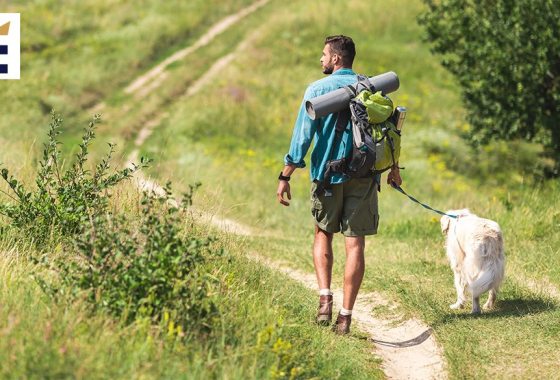 Want to hike with your dog? Here's everything you need