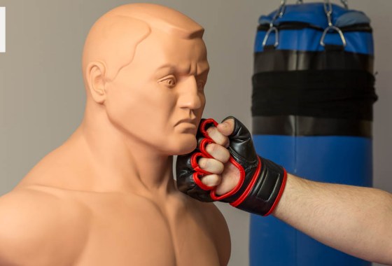 Best punching dummy