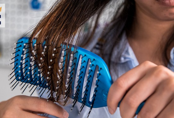 Best Wet Brush