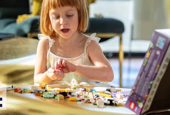 Best Mega Construx toy