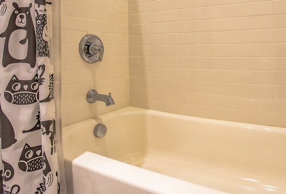 Best bird shower curtain