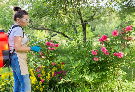 Best backpack sprayer