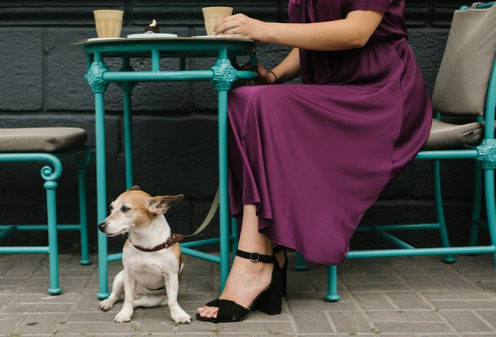 Best plum dress