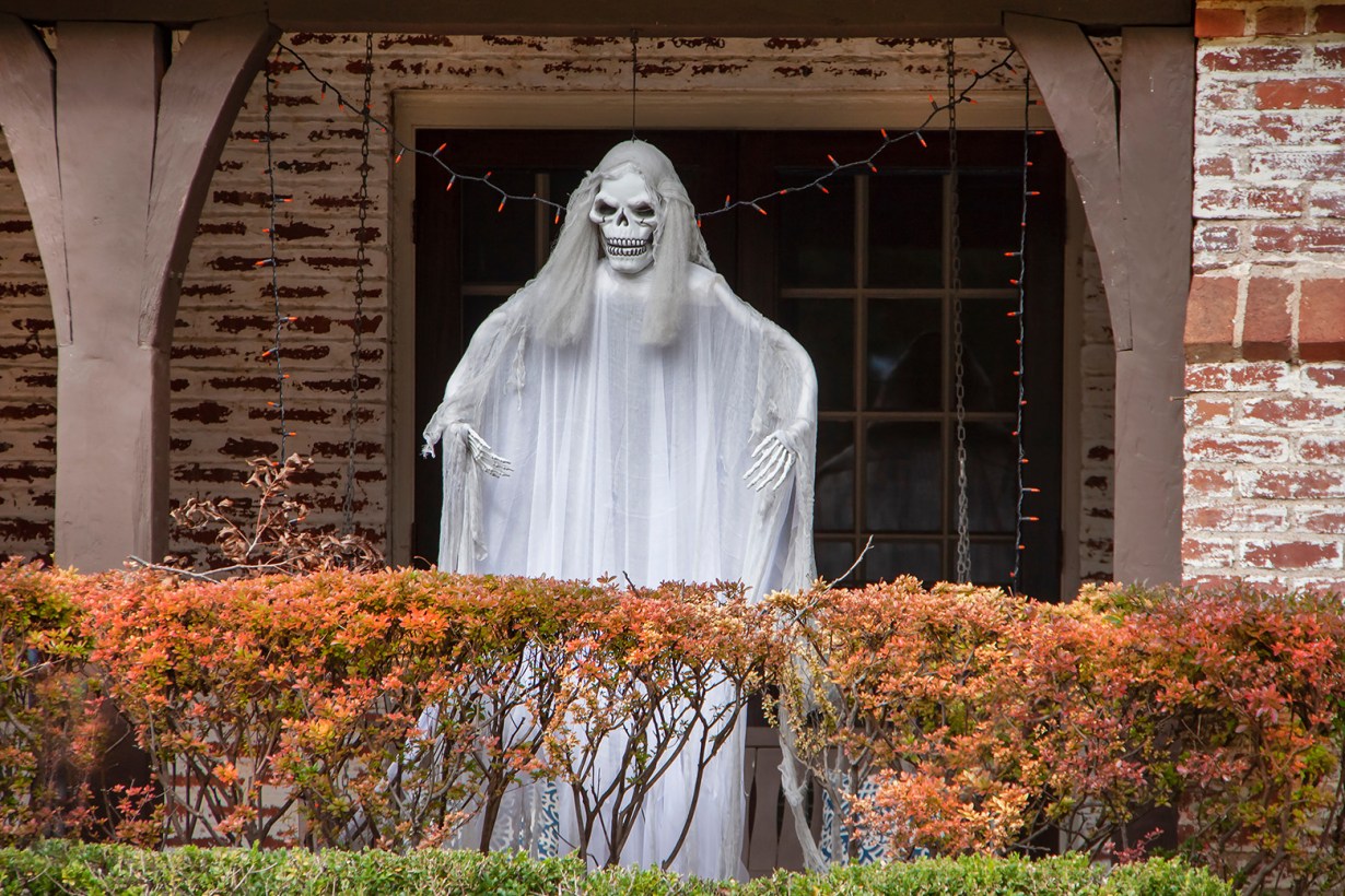 a skeleton with white hair and white dress