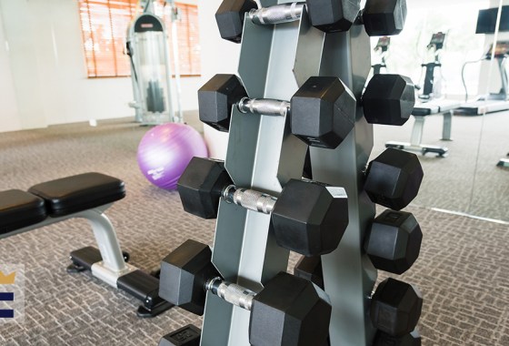 Best dumbbell set with rack