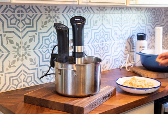 Best Anova sous vide