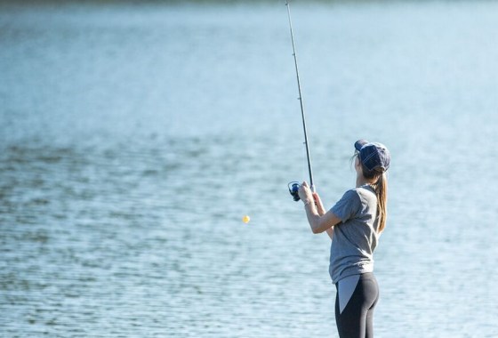 Best fishing cart
