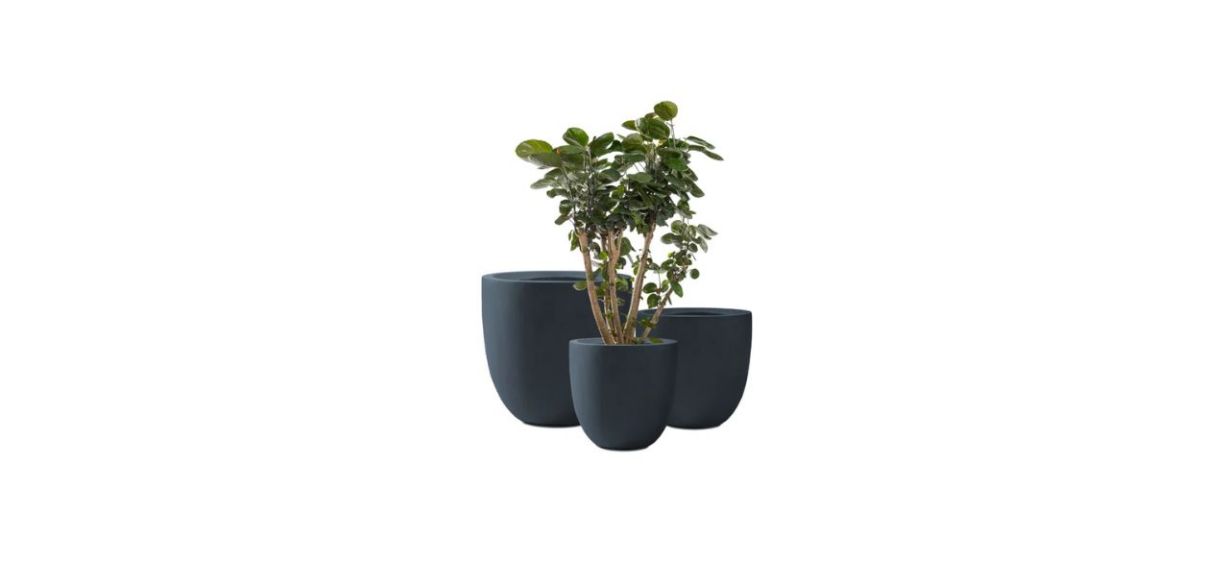 Best Latitude Run Concrete Pot Planter Set of Three