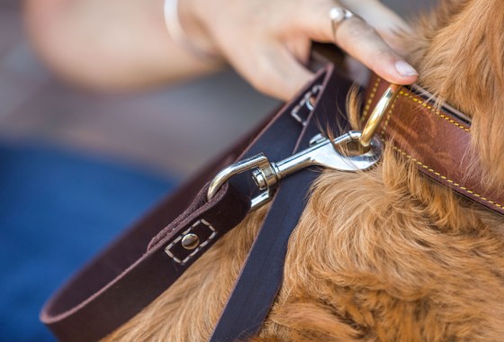 Best leather dog leash