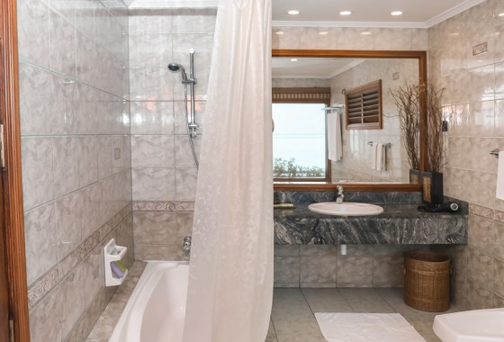 Best Paris shower curtain