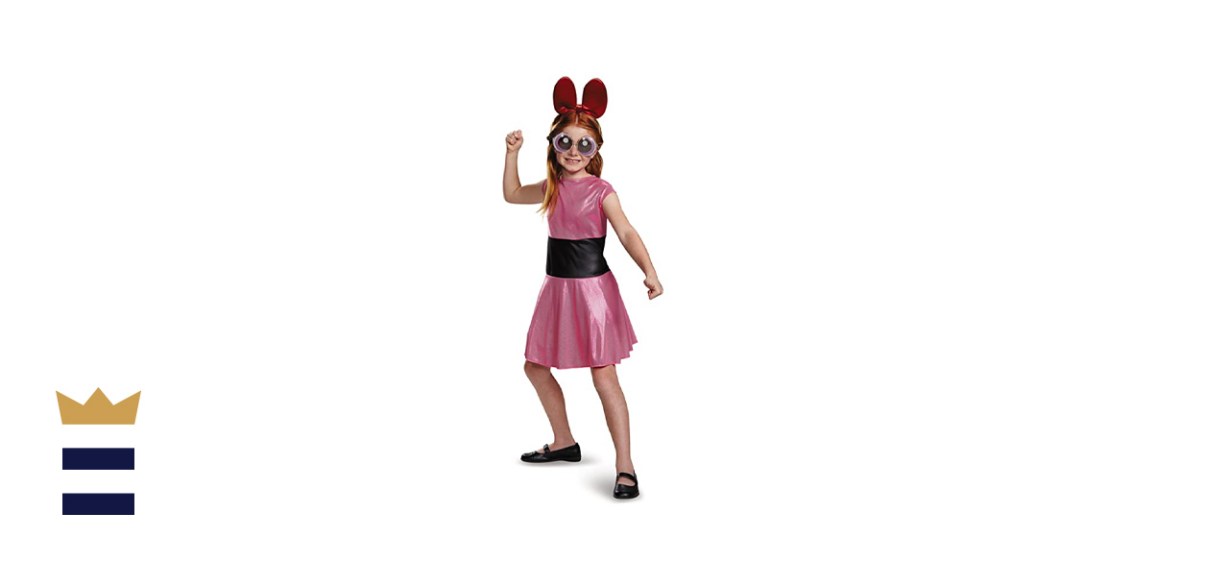 Blossom Classic Powerpuff Girls Cartoon Network Costume