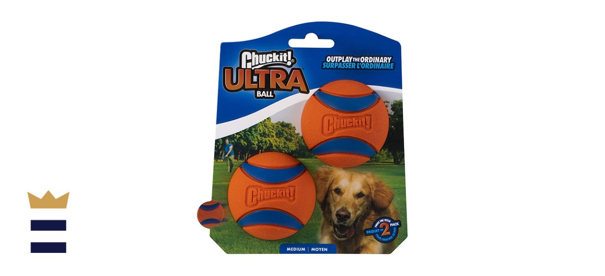 ChuckIt! Ultra Rubber Ball Dog Toy